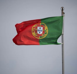 the flag of portugal flying in the wind